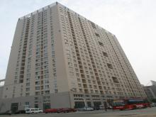 �������͹�Ԣ���������ɽ��ʡ�����������̩ɽ����